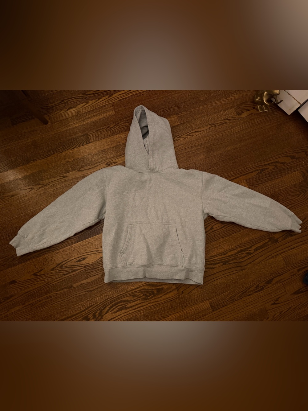 Aritzia Heather Gray Relaxed Hooded Sweatshirt Fits like a SMALL